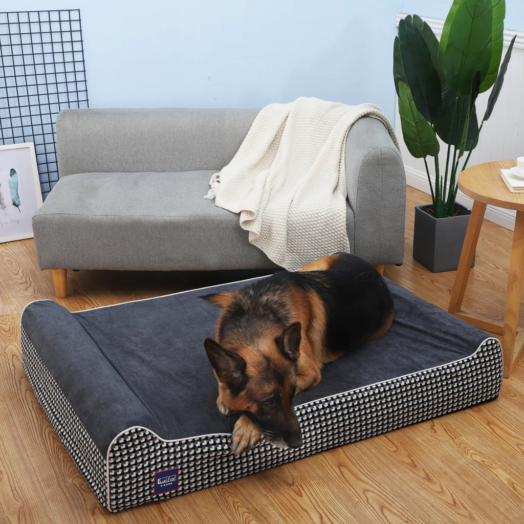 Creating a Cozy Haven: The Best Dog Beds for Quality Sleep