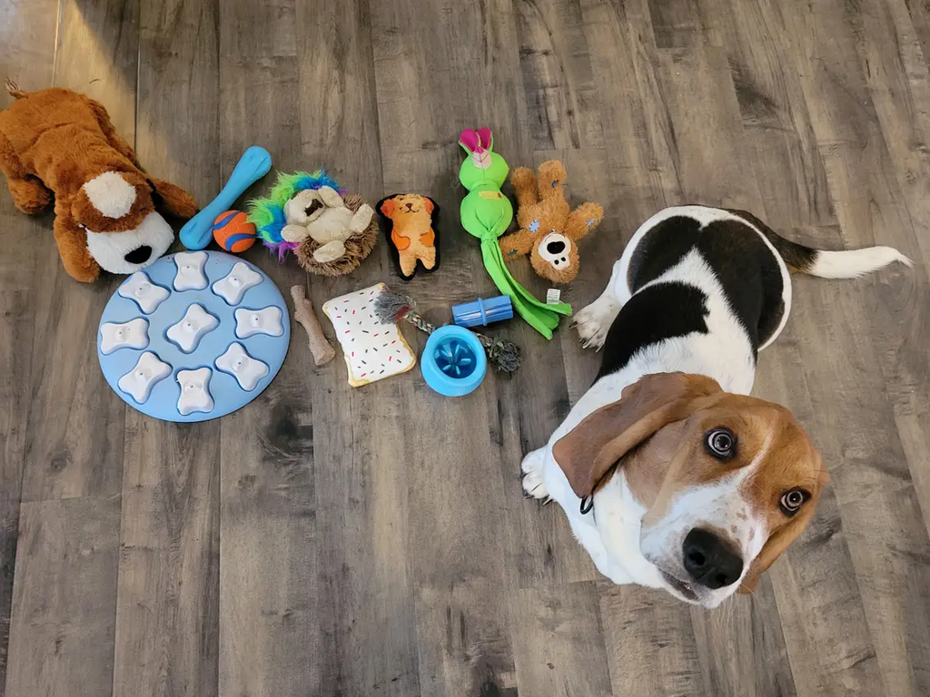 Choosing the Right Dog Toys for Different Breeds and Sizes