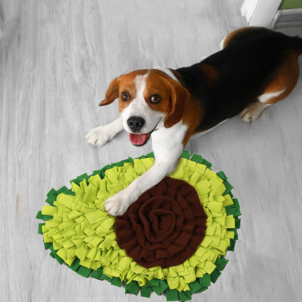 Avocado Snuffle Mat for Dogs - Interactive Dog Toys