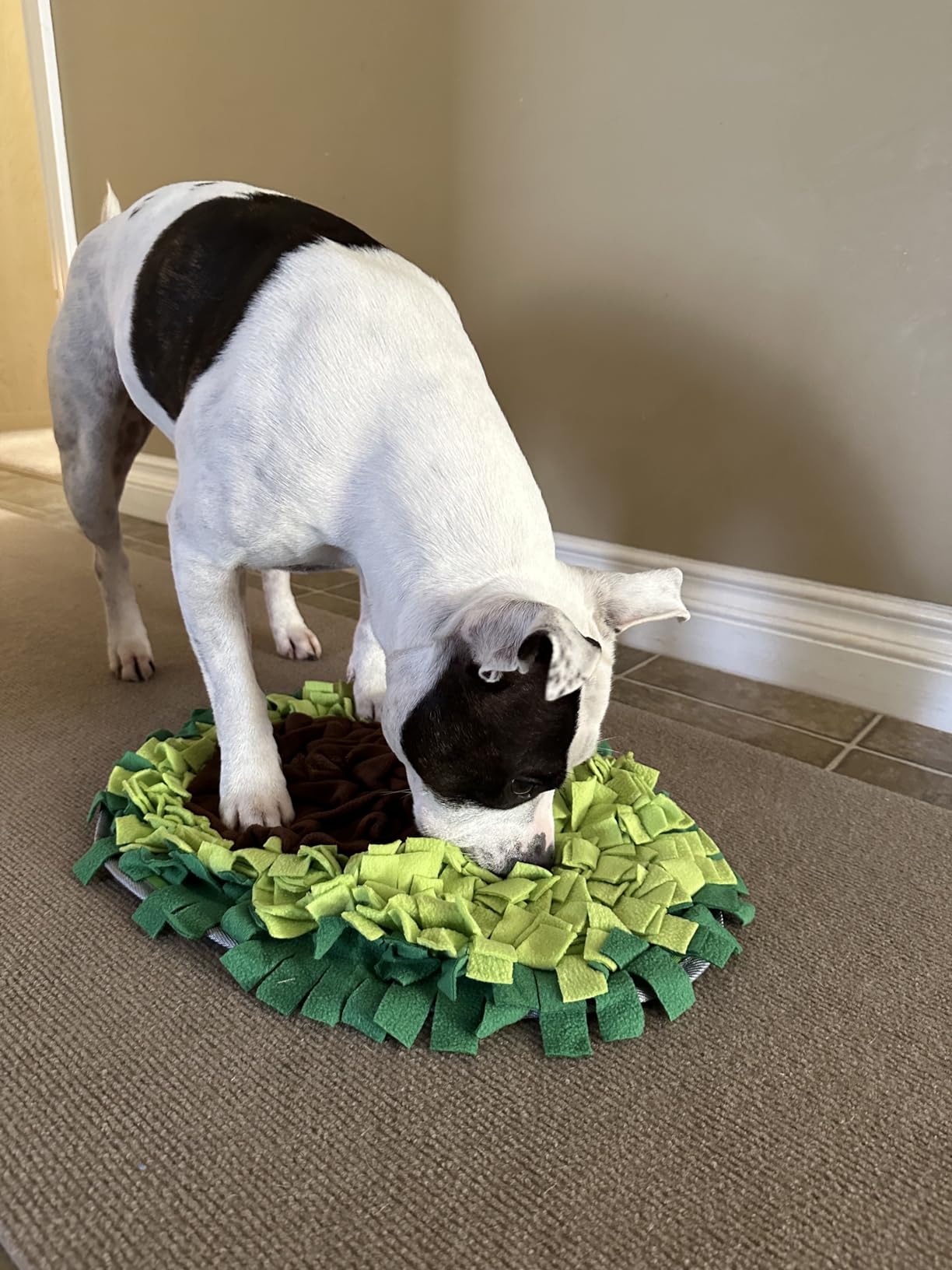 Avocado Snuffle Mat for Dogs - Interactive Dog Toys